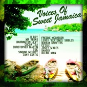The Voices of Sweet Jamaica (All Star Remix) artwork