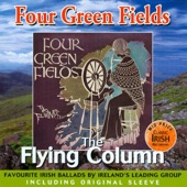 The Flying Column - The Castle of Dromore