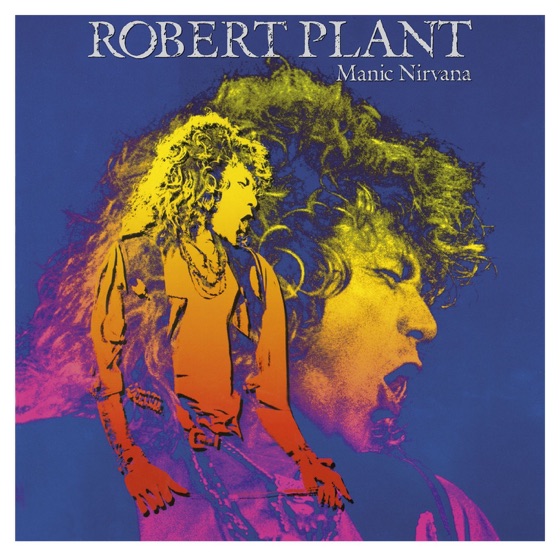 Cover artwork for Nirvana