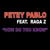 How Do You Know (feat. Raga Z) - Single album lyrics, reviews, download