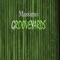 Looney Tune (feat. Shawn Q & Chico Huff) - Massimo lyrics