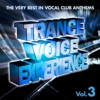 Trance Voice Experience, Vol. 3 (The Very Best in Vocal Club Anthems), 2013