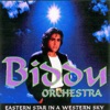 The Biddu Orchestra - Rain Forest