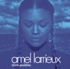 AMEL LARRIEUX