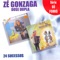 Asa Branca - Zé Gonzaga lyrics