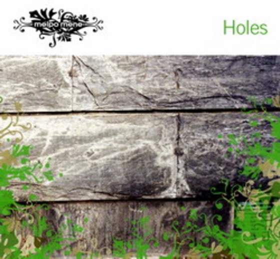 Cover artwork for Holes