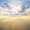 How Sweet the Sound - Steve Wingfield