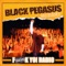 So Glad - Black Pegasus lyrics