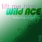 Lift Me High (H-16 Radio Mix) [feat. Lindsay] - Wild Ace lyrics