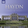 Haydn: The Complete Symphonies artwork