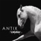 Box Of Birds (Djuma Soundsystem Remix) - Antix lyrics
