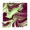 Max Vangeli & Danny Ray - Grim