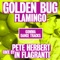 Flamingo - Golden Bug lyrics