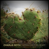 Charlie Roth - Wild Mountain Thyme