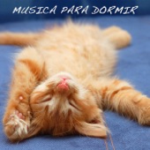 Música para Dormir: Música Relajante, Música de Meditación, Hilo Músical, Canción de Cuna artwork