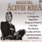 Tata Dios - Miguel Aceves Mejía lyrics