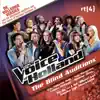 Make You Feel My Love (From The Voice of Holland) song lyrics