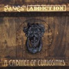 Jane's Addiction - Been Caught Stealing (Live, 1990)