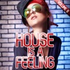 House Is a Feeling, Vol. 8