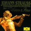 J. Strauss: Best of Waltzes & Polkas artwork