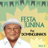 Festa Junina por Dominguinhos,Vol. 2 - Dominguinhos