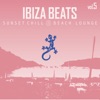 Ibiza Beats - Volume 5