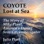 Coyote Lost at Sea: The Story of Mike Plant, America's Daring Solo Circumnavigator (Unabridged)