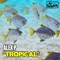 Tropical (Extended Mix) - Alex P. lyrics
