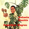 Angelitos Negros, 2013