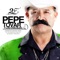 El Adios de un Jinete - Pepe Tovar & Los Chacales lyrics