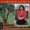 Lês a Melfed (Lady for Today) - Doreen Lewis lyrics