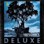 Shinedown - 45 (Acoustic Version)