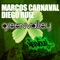 Green Valley (Original Mix) - Diego Ruiz & Marcos Carnaval lyrics