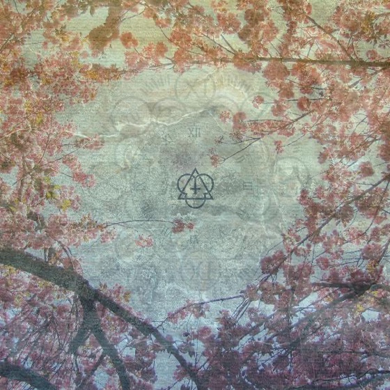 Cover artwork for Never Dead