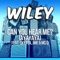 Can You Hear Me? (Ayayaya) - Wiley lyrics