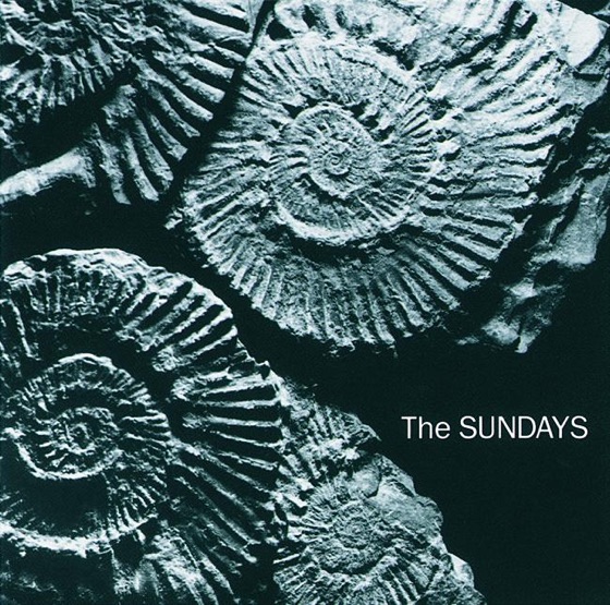 Cover artwork for Joy