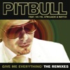 Give Me Everything (The Remixes) [feat. Ne-Yo, Afrojack & Nayer] artwork