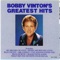 What Did You Do With Your Old 45's - Bobby Vinton lyrics