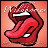 Wildhorses - Anybody Seen My Baby