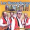 Palmerita de Los Llanos - Los Huaracheros lyrics