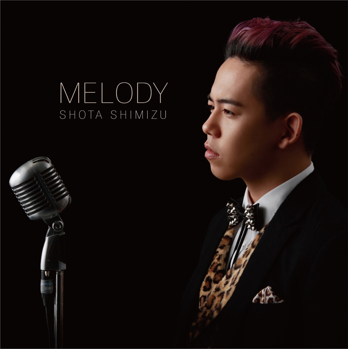 清水翔太 Music Rankings