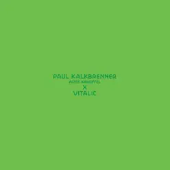 Altes Kamuffel (Vitalic Remix) - Single - Paul Kalkbrenner