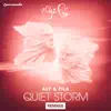 Quiet Storm (Remixes) album lyrics, reviews, download