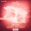 Stream & download Quiet Storm (feat. Sue McLaren) [Aly & Fila Club Radio Edit]