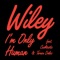 I'm Only Human (feat. Cashtastic & Tereza Delzz) - Wiley lyrics