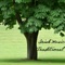 Luky in Love (Love Songs) - Irish Music Duet lyrics