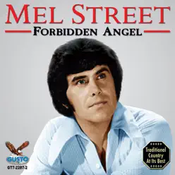 Forbidden Angel - Mel Street