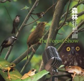 李世豪 - 野鳥情歌