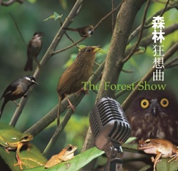 Lin Hai - Forest Awakening