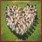 Bayou - The Love Unlimited Orchestra lyrics